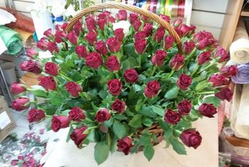 101 роза в корзине в корзине Кения,40см